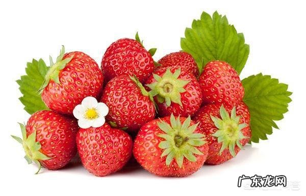 含糖量低的水果有哪些?