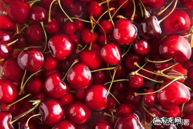 含糖量低的水果有哪些?