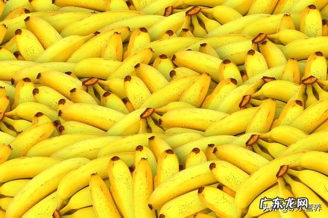 含糖量低的水果有哪些?