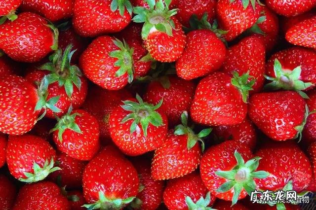 含糖量低的水果有哪些？