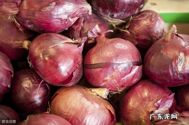 在洋葱的种植过程中如何防止多胞胎现象发生?