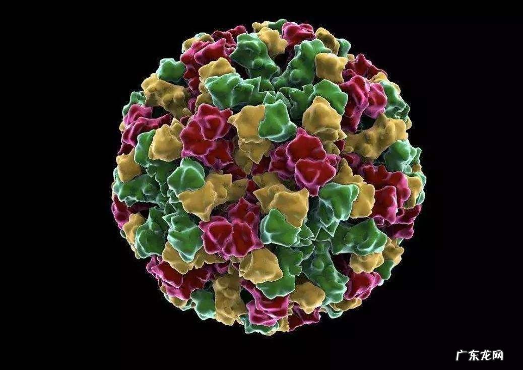 诺如病毒会死人吗