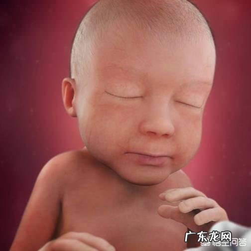 怀孕28周,肚型是什么样子?