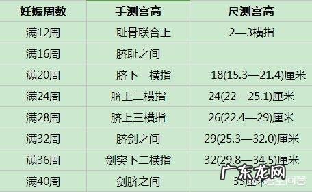 怀孕28周,肚型是什么样子?