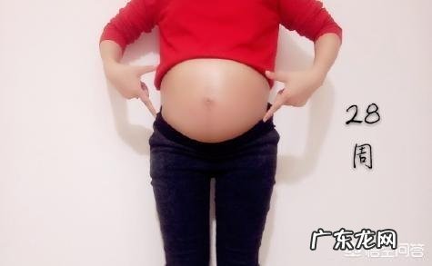 怀孕28周,肚型是什么样子?