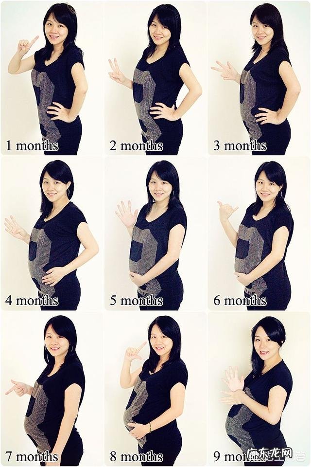 怀孕28周,肚型是什么样子?