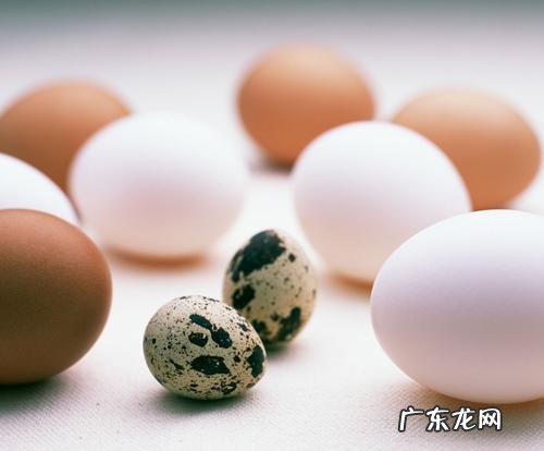 鹌鹑蛋要比鸡蛋更有营养价值吗?