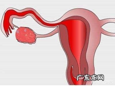 怎么老是备孕不成功?