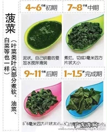 婴儿什么时候添加辅食？