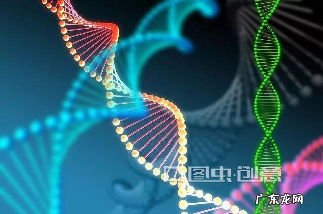 头胎生儿子,二胎生女儿的几率有多大呢?