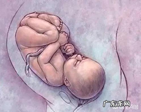 怀孕八个月，胎儿发育情况是怎样的？