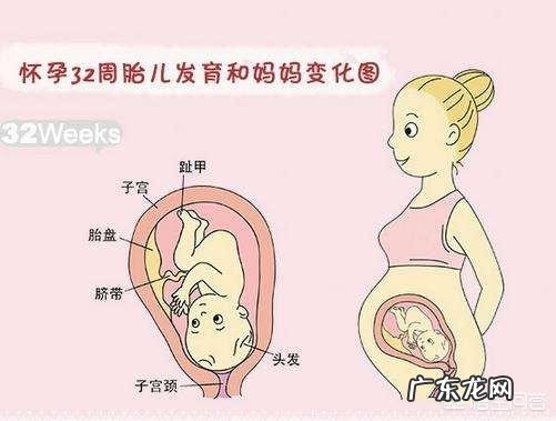 怀孕八个月,胎儿发育情况是怎样的?