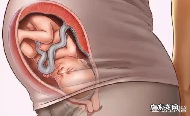 怀孕八个月，胎儿发育情况是怎样的？