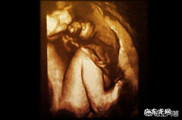 怀孕八个月，胎儿发育情况是怎样的？