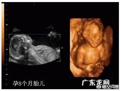 怀孕八个月，胎儿发育情况是怎样的？