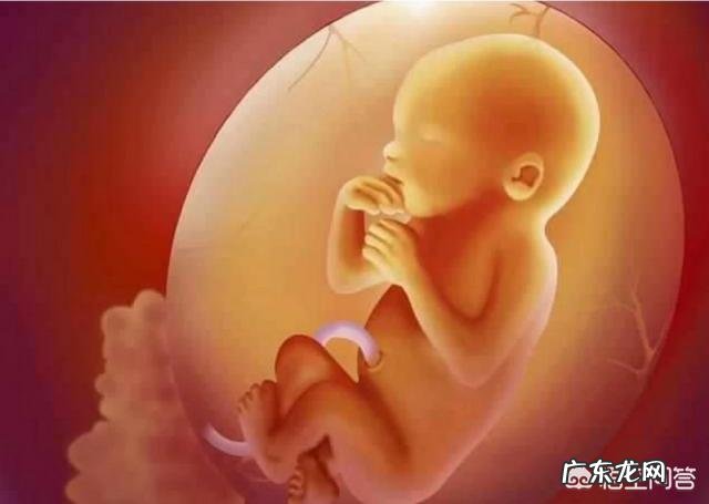 胎动的早晚和性别有关系吗？