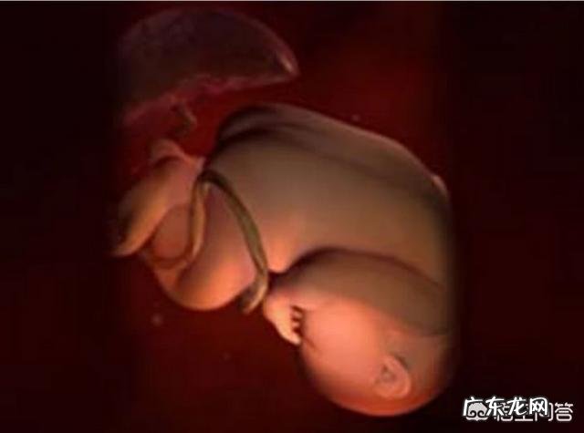 胎动的早晚和性别有关系吗？