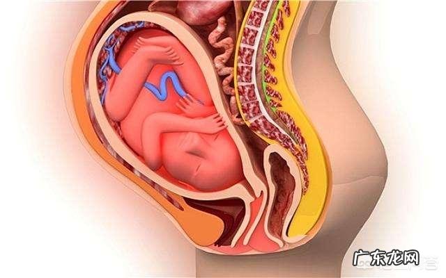 孕晚期吃什么可以让胎儿长高呀？