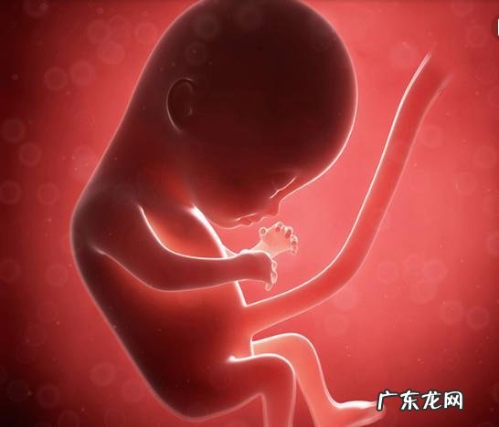 孕晚期吃什么可以让胎儿长高呀？