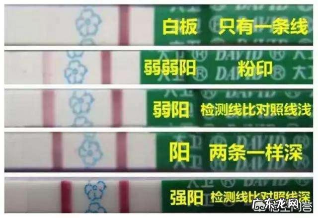 用排卵试纸测了几天都显示排卵是怎么回事?