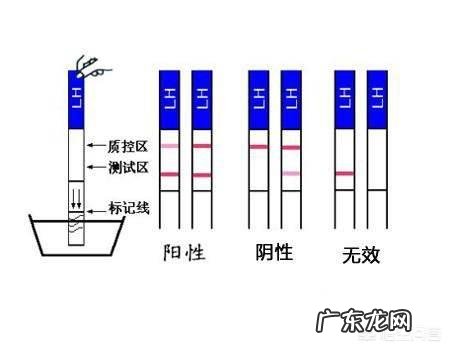 用排卵试纸测了几天都显示排卵是怎么回事?