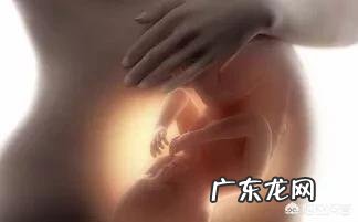 怀孕3个月时宝宝有多大呢?