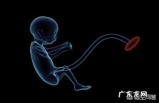 怀孕3个月时宝宝有多大呢?