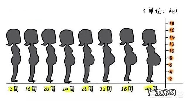 怀孕3个月时宝宝有多大呢？