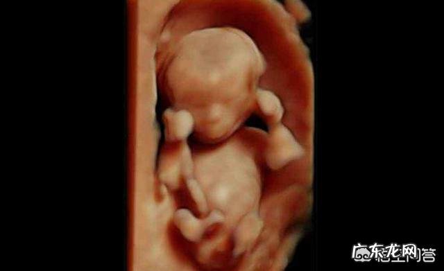 怀孕3个月时宝宝有多大呢？