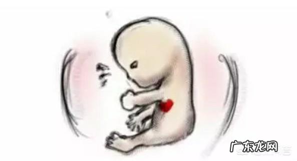 怀孕3个月时宝宝有多大呢?