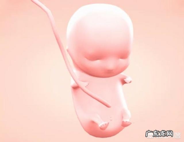 怀孕3个月时宝宝有多大呢？