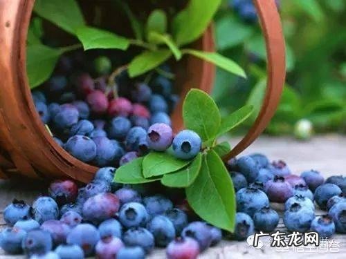 哪些食物是宝宝适合吃的?