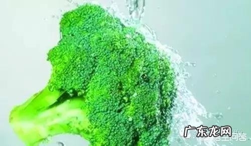 哪些食物是宝宝适合吃的？