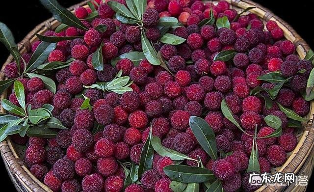 吃杨梅有什么好处呢？