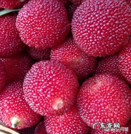 吃杨梅有什么好处呢？