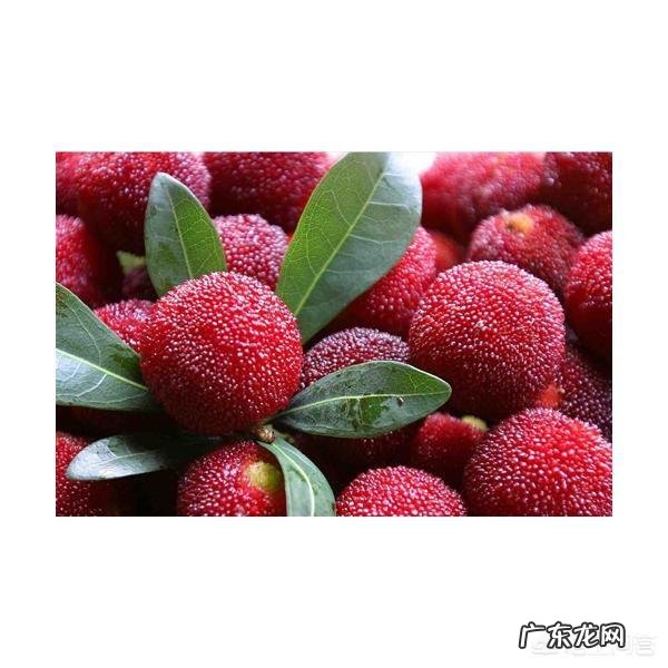 吃杨梅有什么好处呢？