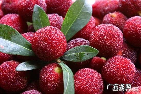 吃杨梅有什么好处呢？