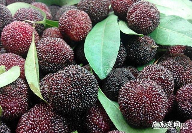 吃杨梅有什么好处呢？