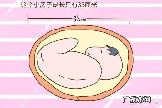 新生儿的标准身高是怎样的？