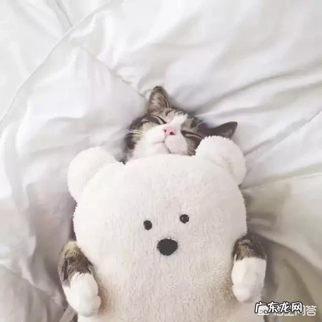 五岁儿童学什么舞蹈好？