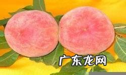 陕西铜川有什么特色小吃和土特产?