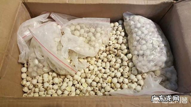 月饼中的莲蓉是怎么做的?用什么材料做的?方法是什么?