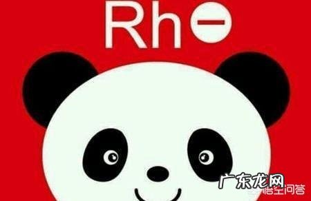 Rh是什么血型？