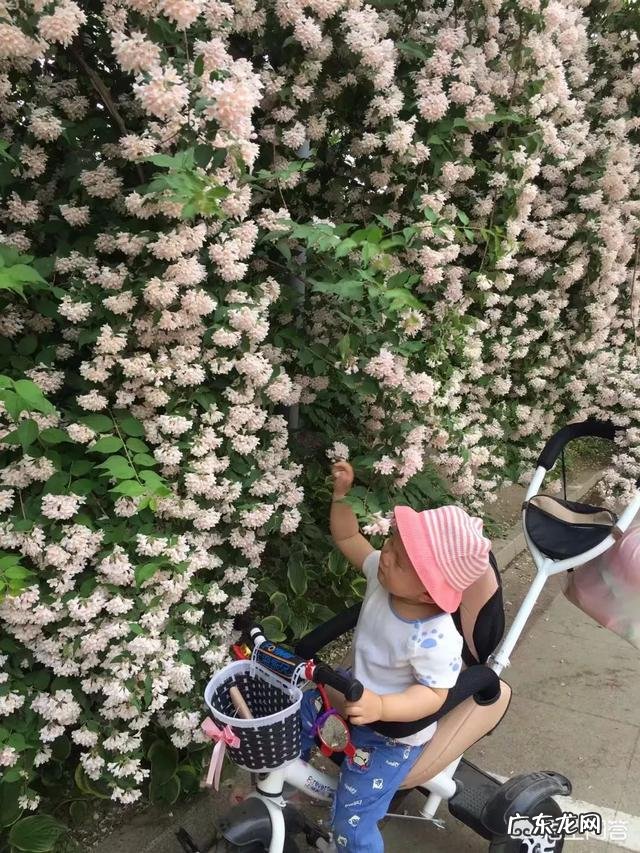 怎么开发孩子的音乐潜能?