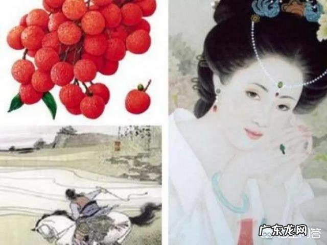 孕妇能吃荔枝吗,吃了会有什么影响?