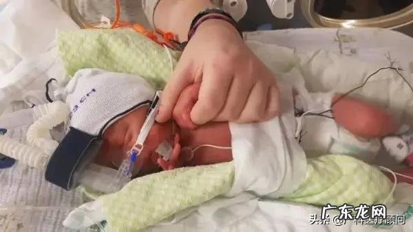 为什么怀孕6个月了还会流产?