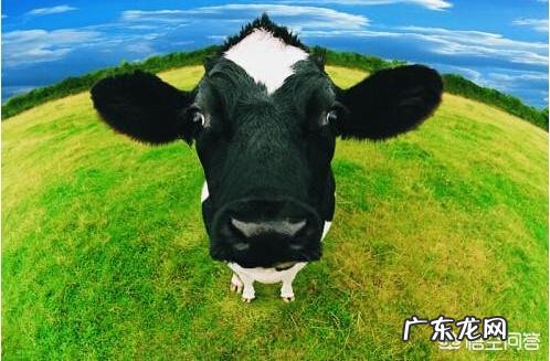 为什么有些婴儿奶粉的价格差别那么大？