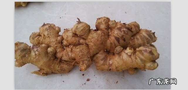 种姜10亩要多少成本