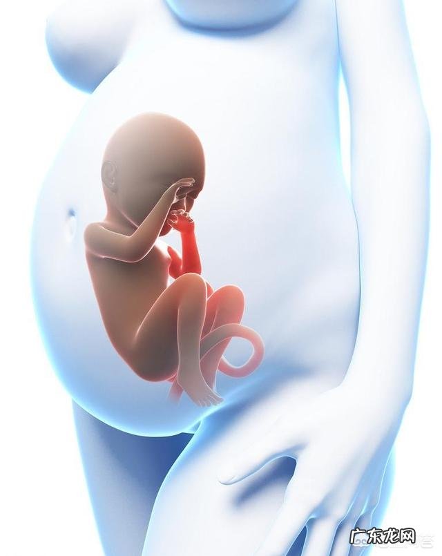 孕妇喝什么汤补？