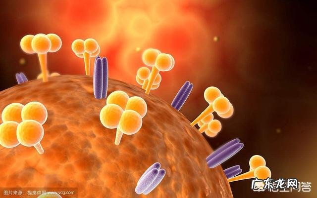 育儿流感应该如何预防?